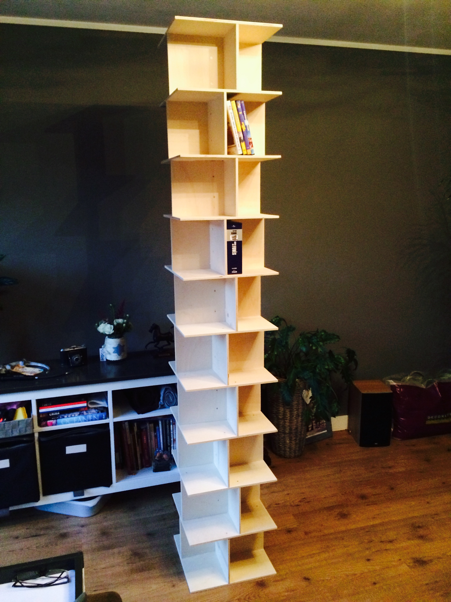 2015_dvd_kast_foto 2.jpg